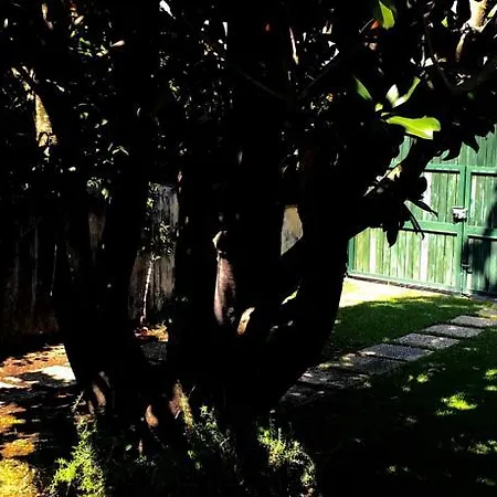 Casa Matilde *